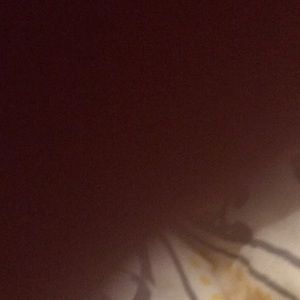 Meet your Posher, Jett